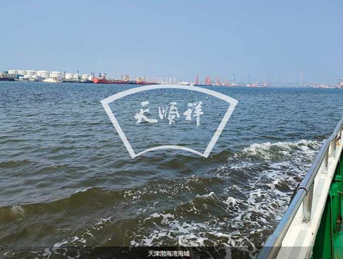 海撒地点天津渤海湾 海撒地点天津渤海湾